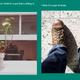 Image for article titled Microsoft's New AI Writes Captions For Your Photos